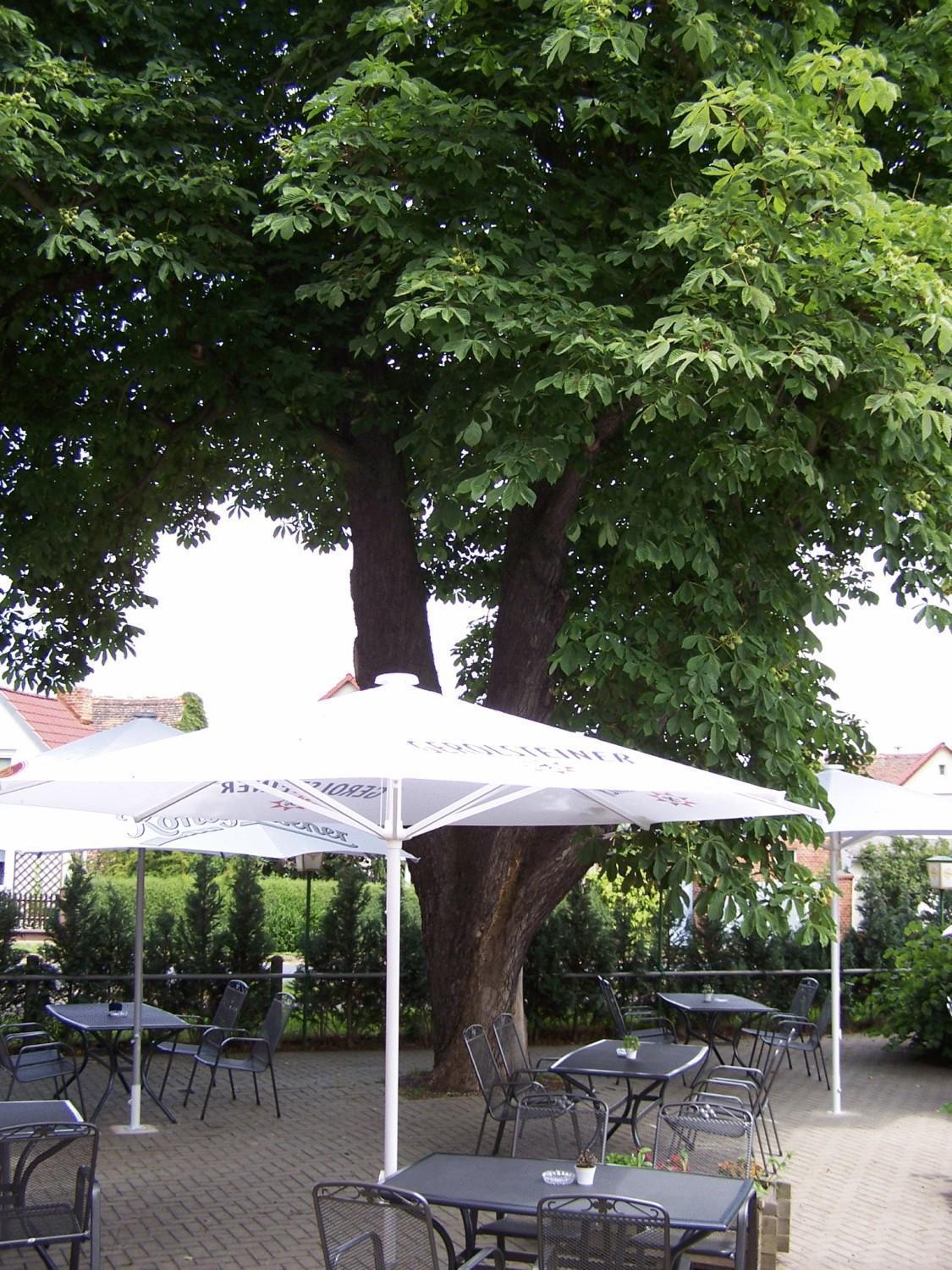 Hotel Glindenberger Hof Bagian luar foto